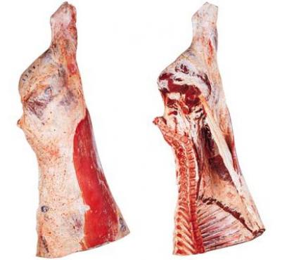 Hindquarter with flank